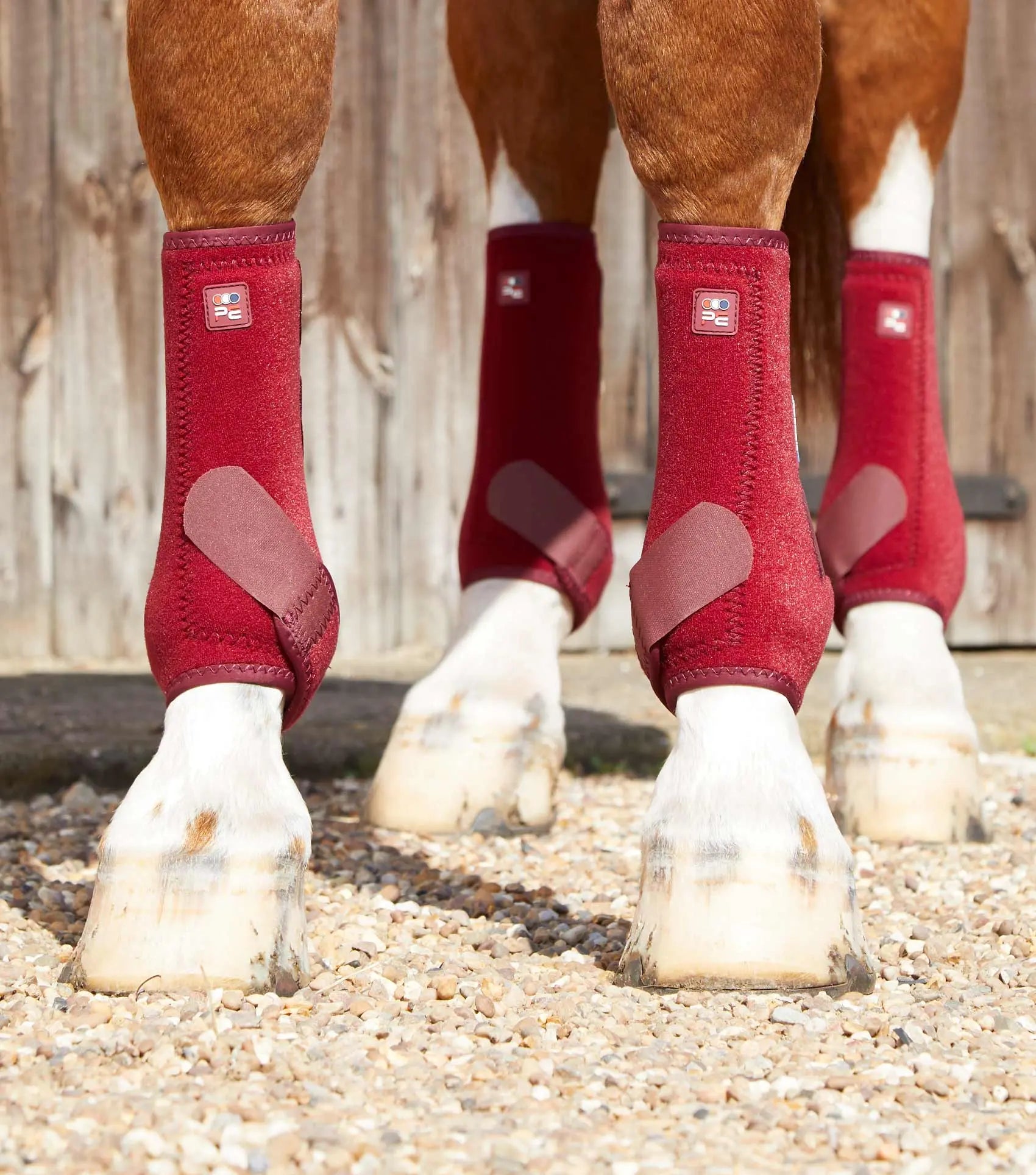 Premier Equine Air-Tech Sports Medicine Boots by Premier Equine at Try A Bit