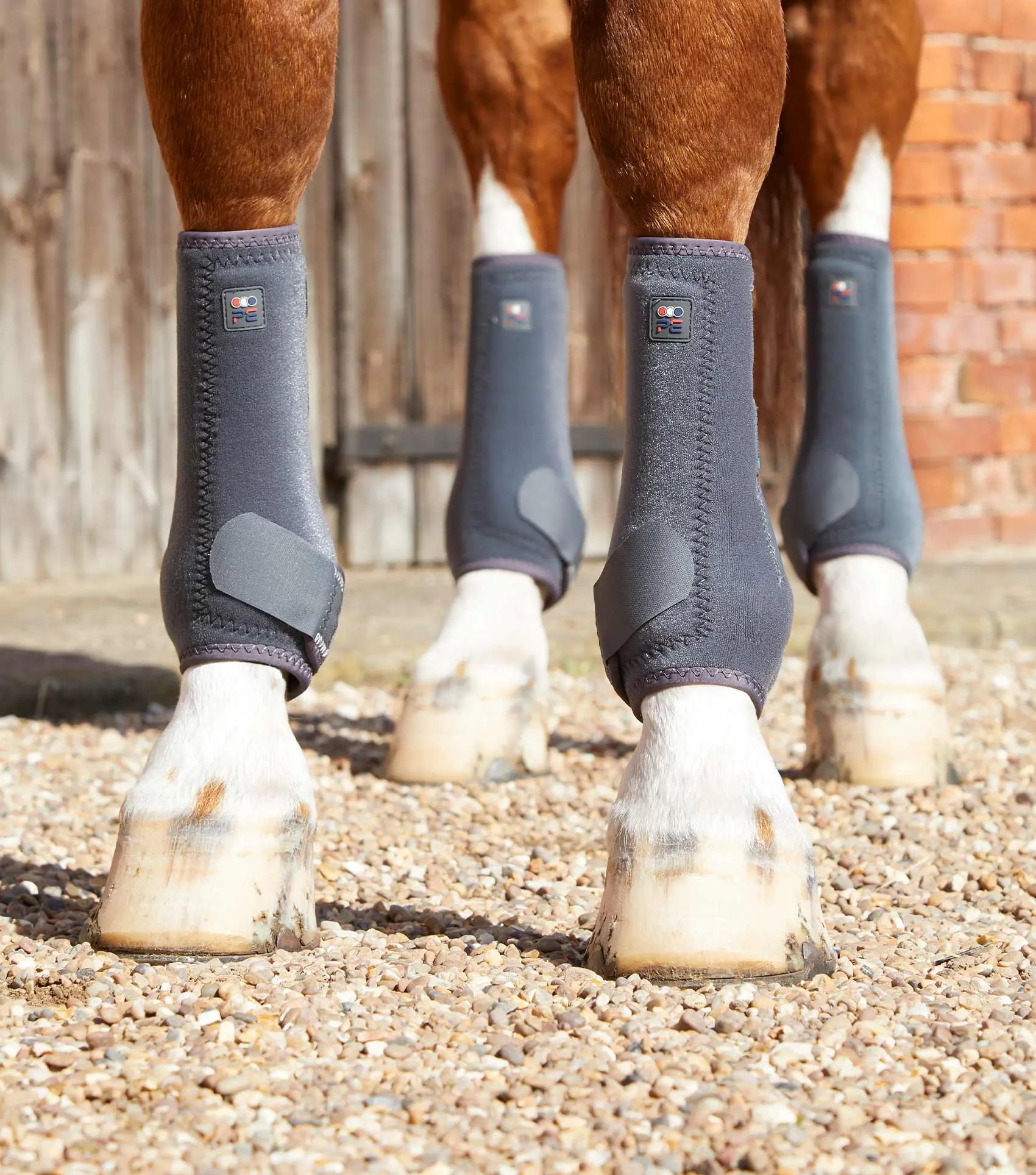 Premier Equine Air-Tech Sports Medicine Boots by Premier Equine at Try A Bit