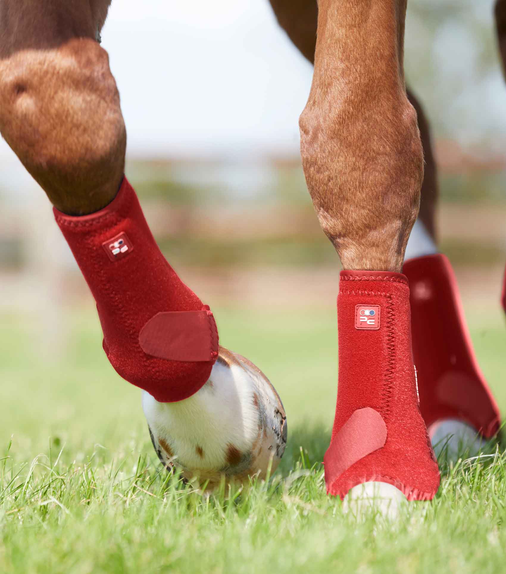 Premier Equine Air-Tech Sports Medicine Boots by Premier Equine at Try A Bit