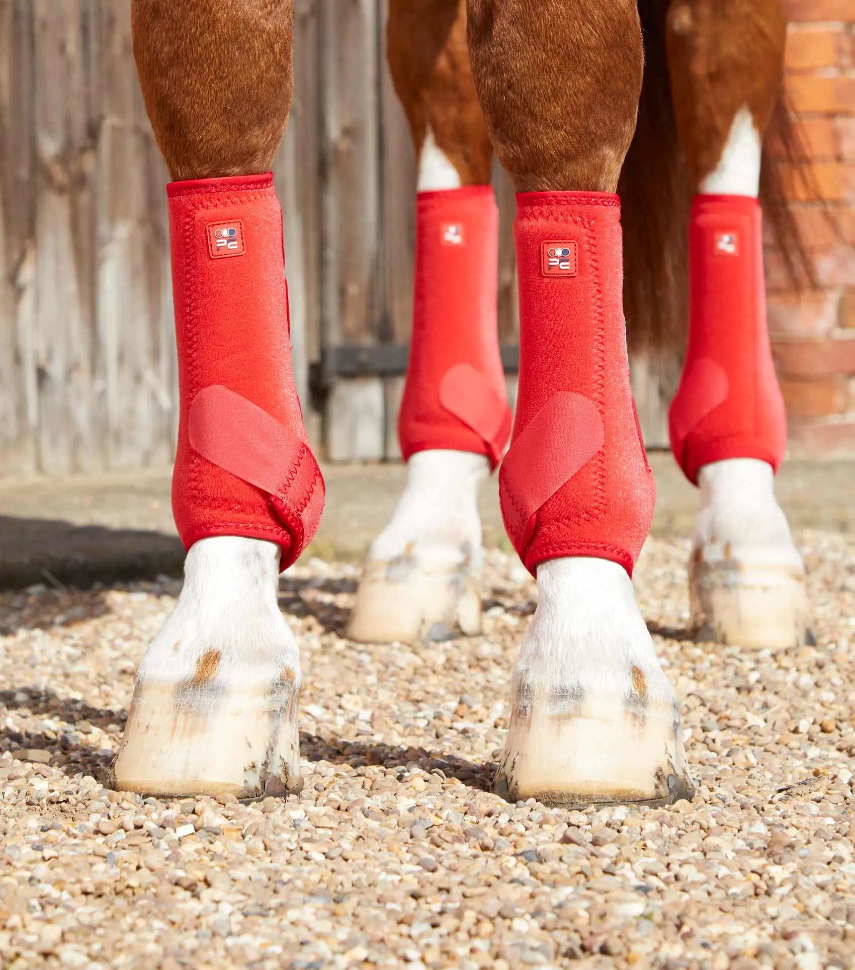 Premier Equine Air-Tech Sports Medicine Boots by Premier Equine at Try A Bit