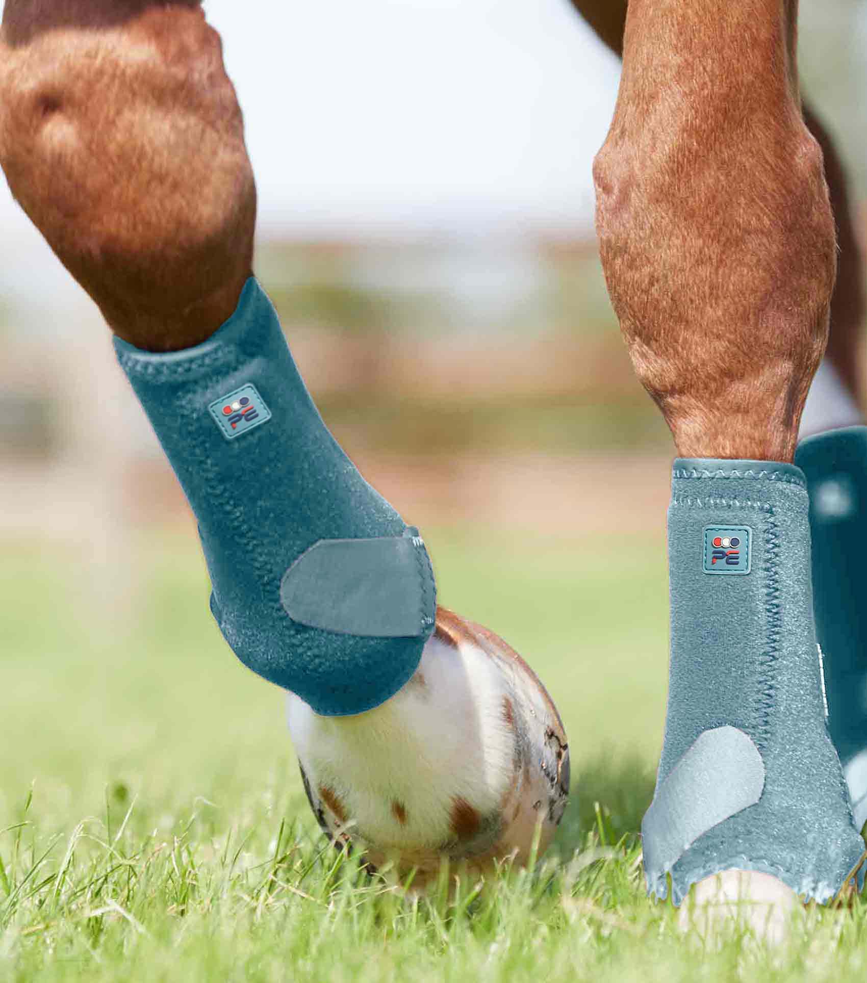 Premier Equine Air-Tech Sports Medicine Boots by Premier Equine at Try A Bit