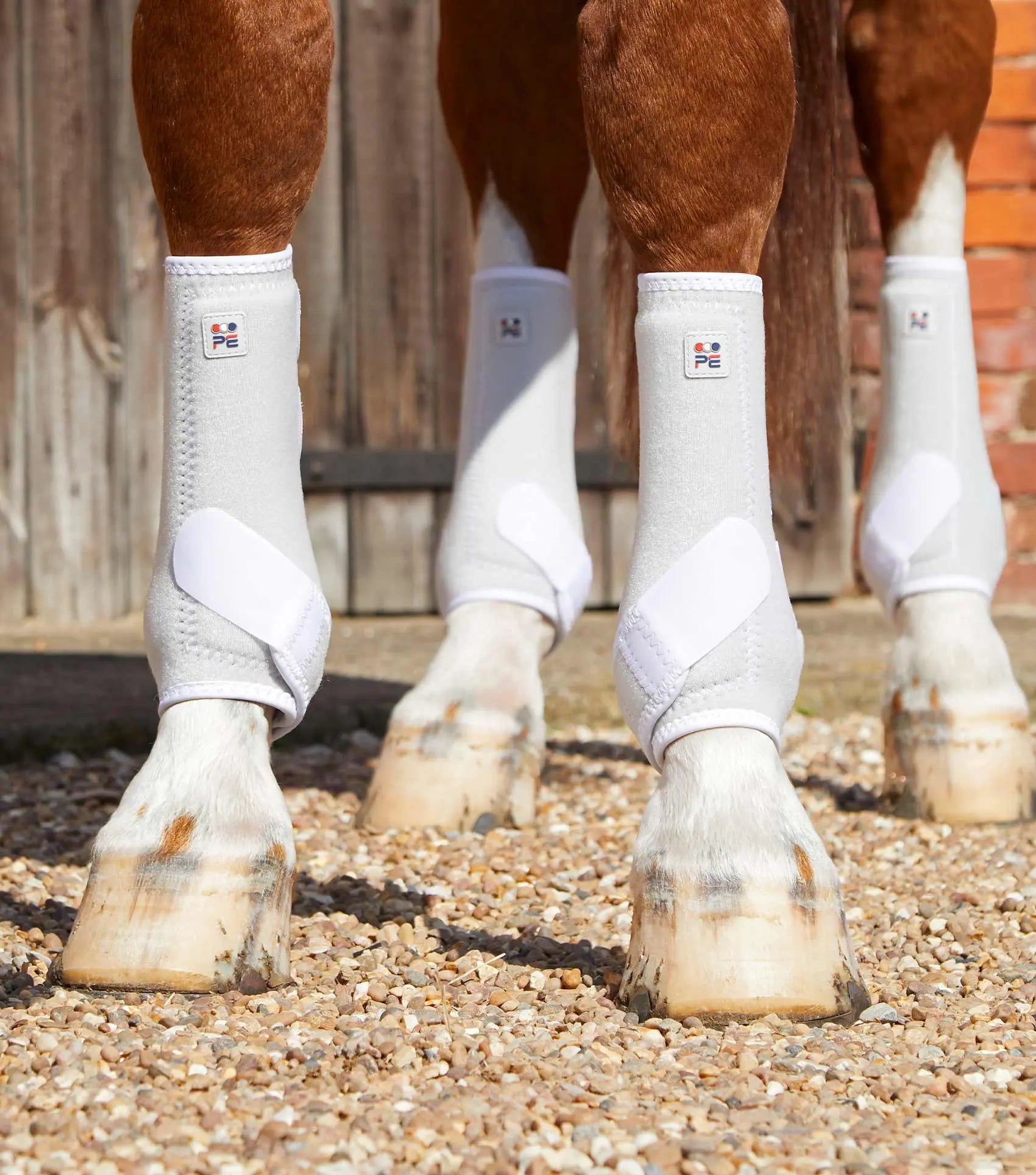 Premier Equine Air-Tech Sports Medicine Boots by Premier Equine at Try A Bit