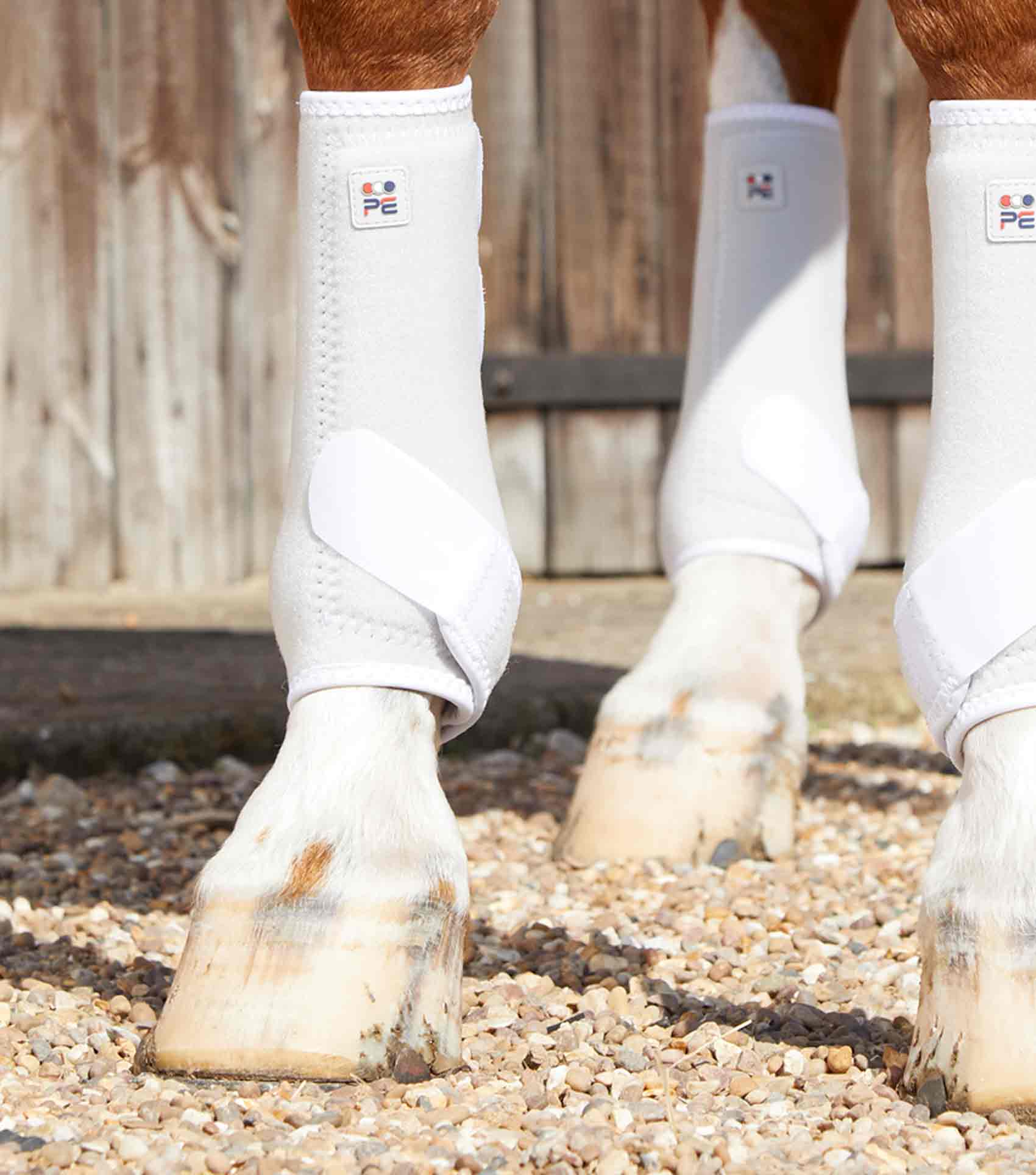 Premier Equine Air-Tech Sports Medicine Boots by Premier Equine at Try A Bit