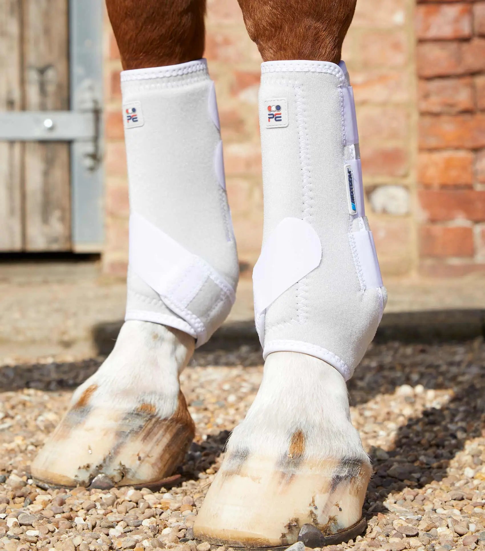 Premier Equine Air-Tech Sports Medicine Boots by Premier Equine at Try A Bit