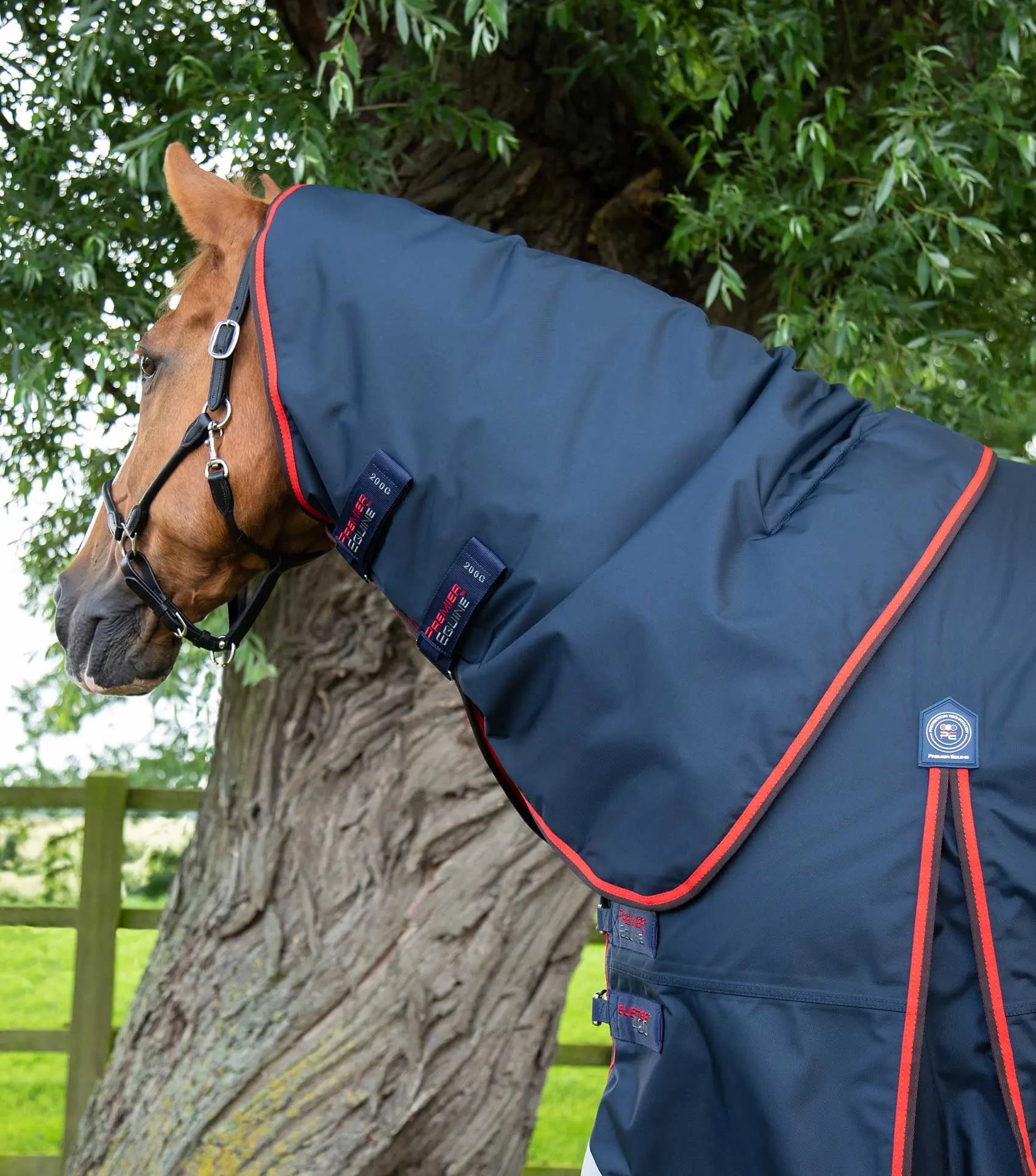 Premier Equine Buster 420g Turnout Rug with Classic Neck Cover by Premier Equine at Try a Bit
