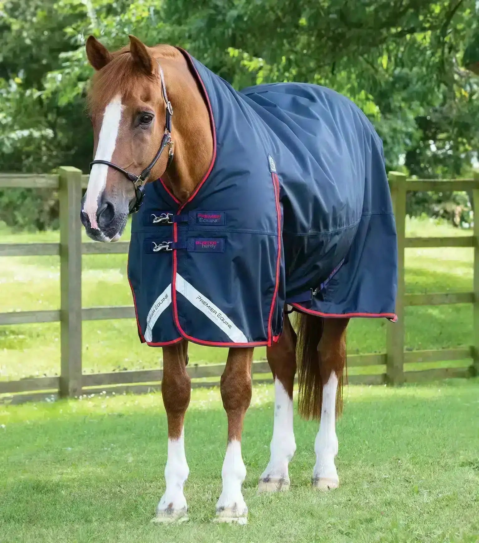 Premier Equine Buster Hardy 200g Half Neck Turnout Rug by Premier Equine at Try a Bit