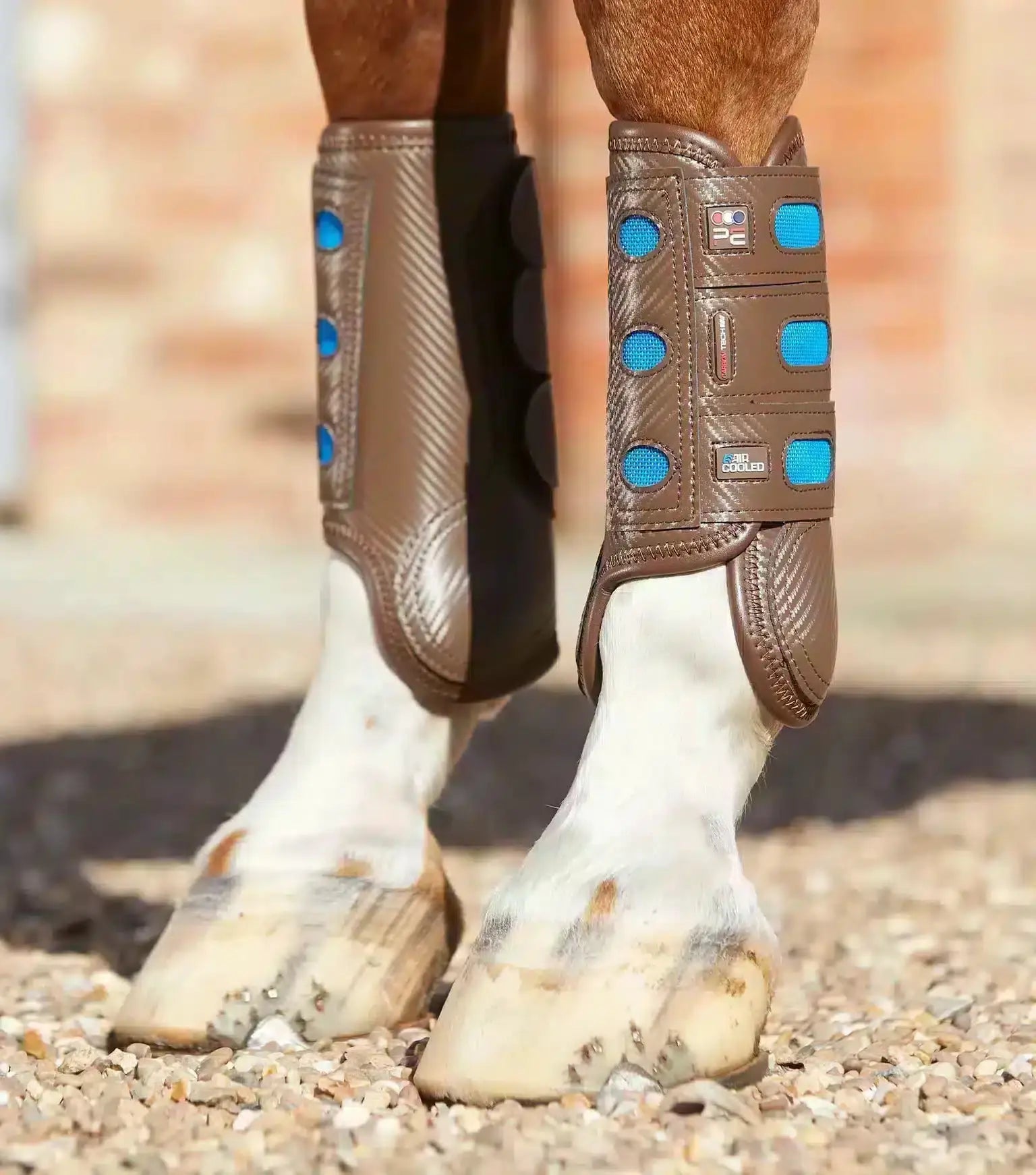 Premier Equine Carbon Tech Air Cooled Eventing Boots-Front by Premier Equine at Try A Bit