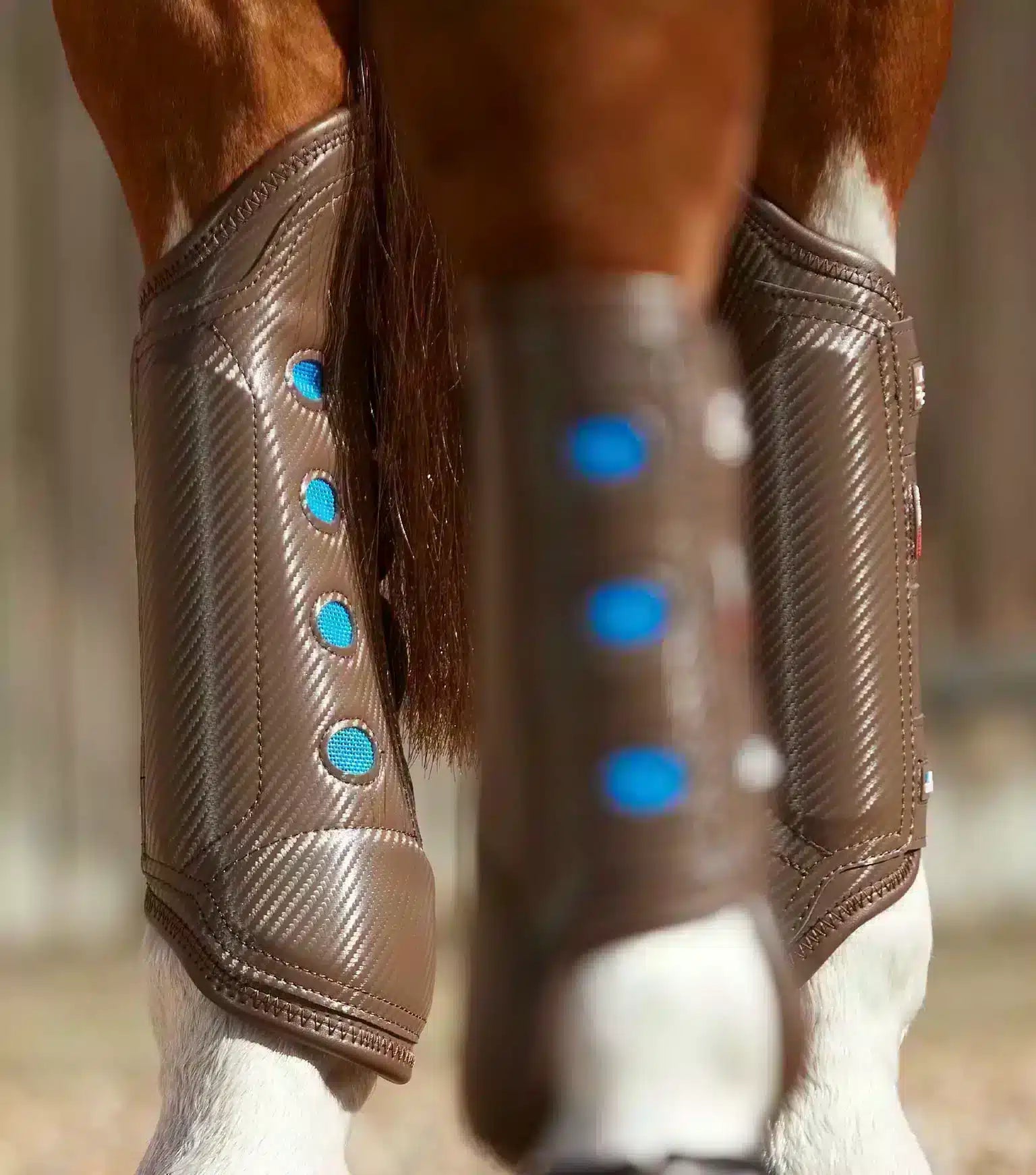 Premier Equine Carbon Tech Air Cooled Eventing Boots- Hind by Premier Equine at Try a Bit