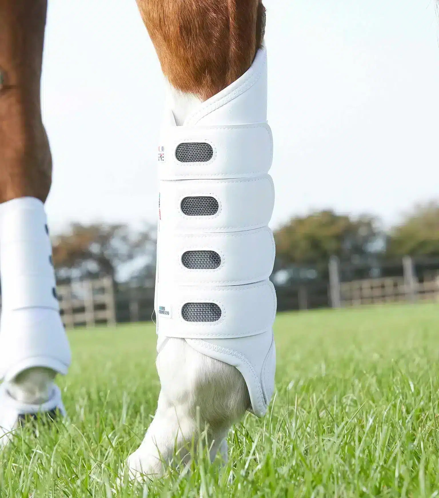 Premier Equine Carbon Tech Air Cooled Eventing Boots- Hind by Premier Equine at Try a Bit