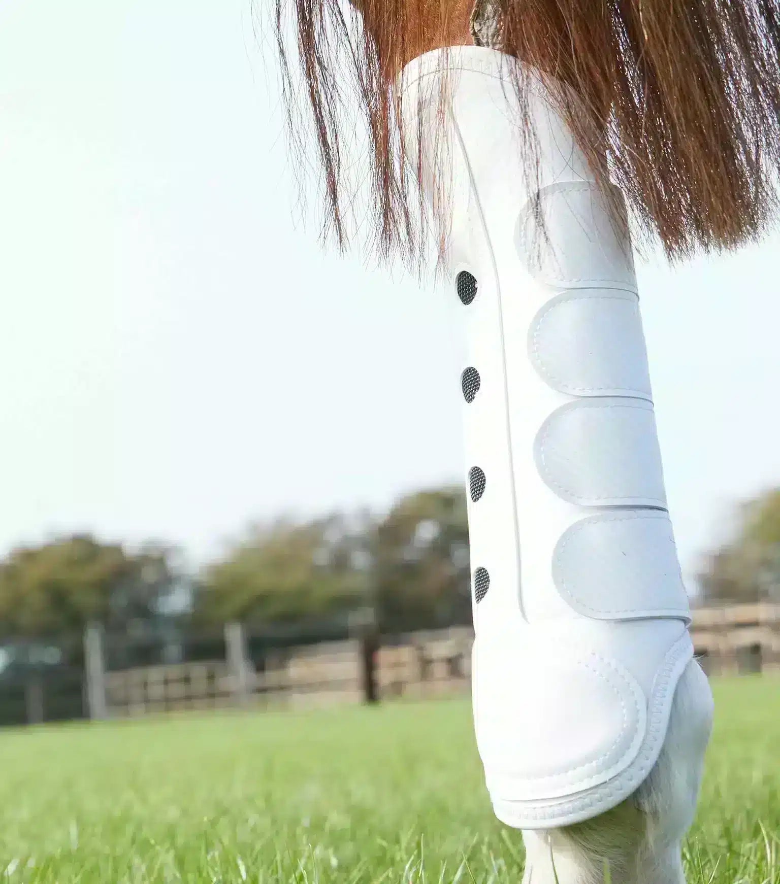 Premier Equine Carbon Tech Air Cooled Eventing Boots- Hind by Premier Equine at Try a Bit