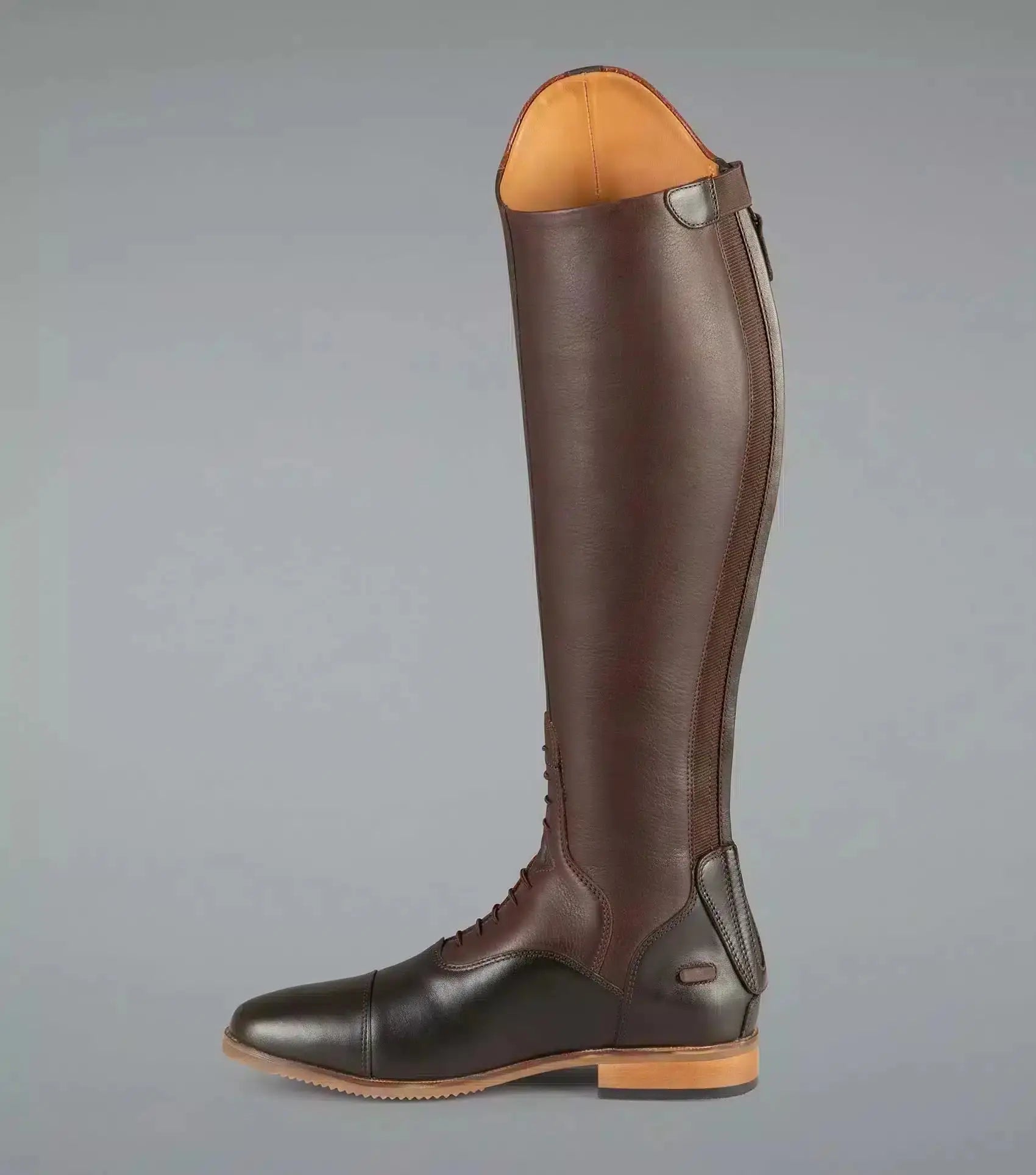Premier Equine Passaggio Ladies Leather Field Tall Riding Boot by Premier Equine at Try a Bit