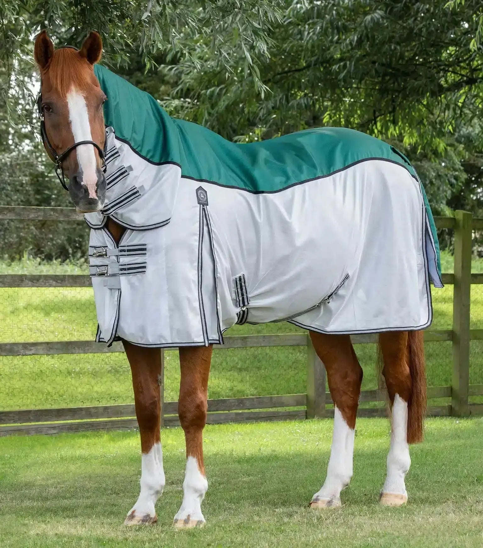 Premier Equine ShowerTex Fly Rug with Surcingles by Premier Equine at Try a Bit