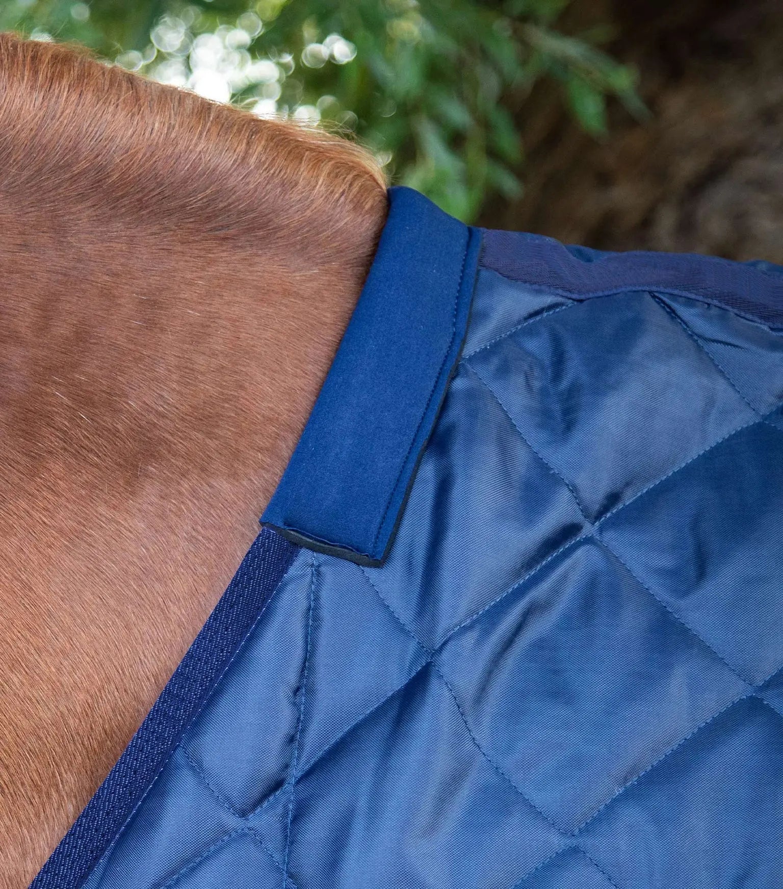 Premier Equine Tuscan Stable Rug 200g by Premier Equine at Try a Bit