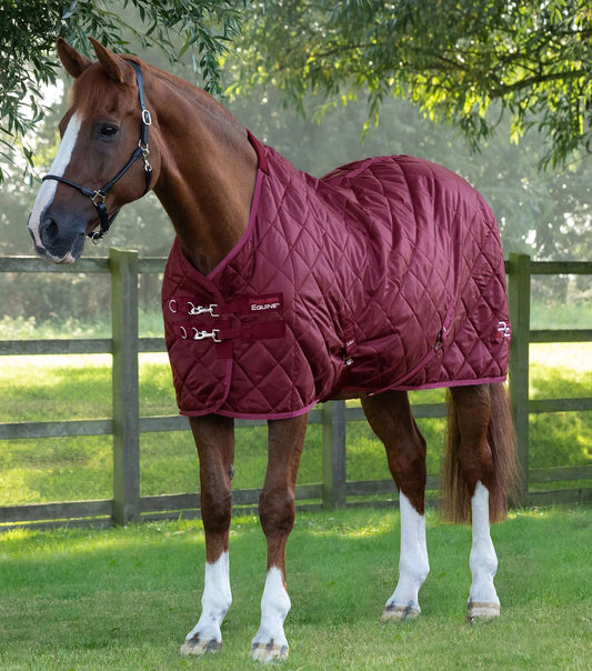 Premier Equine Tuscan Stable Rug 100g by Premier Equine at Try a Bit