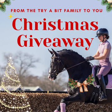 🎄✨ Christmas Giveaway! ✨🎄