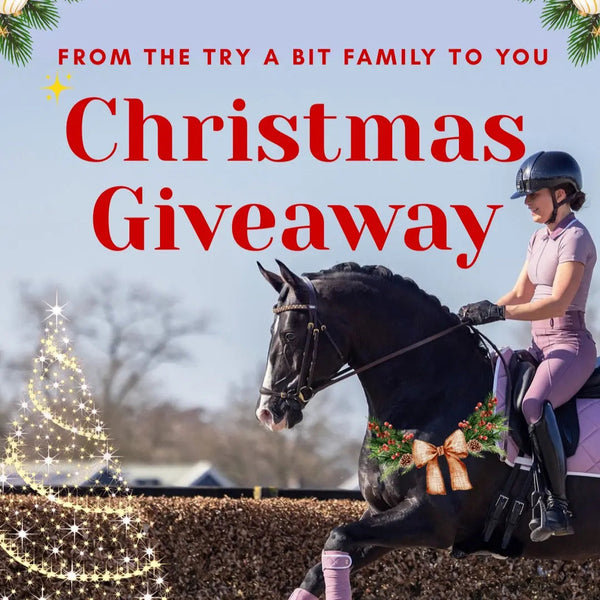 🎄✨ Christmas Giveaway! ✨🎄