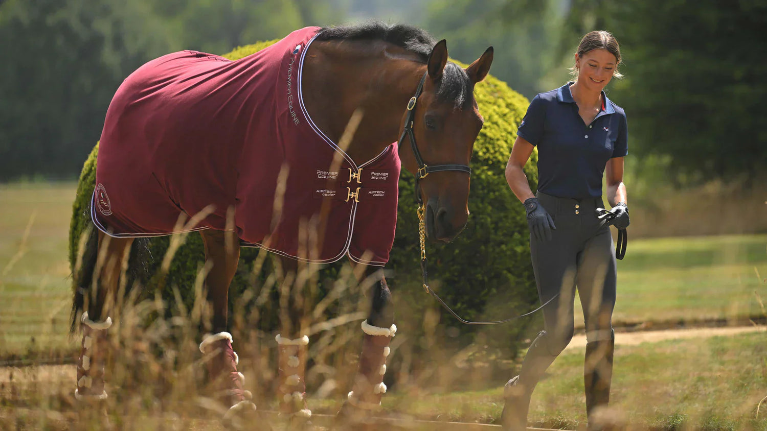 Stable Rugs