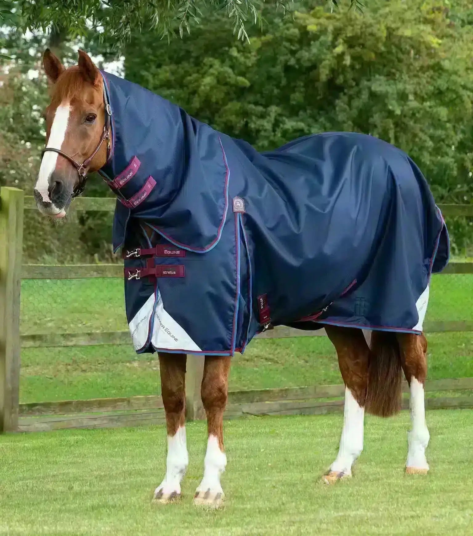 Light-Weight-Turn-Out-Rug Try a Bit