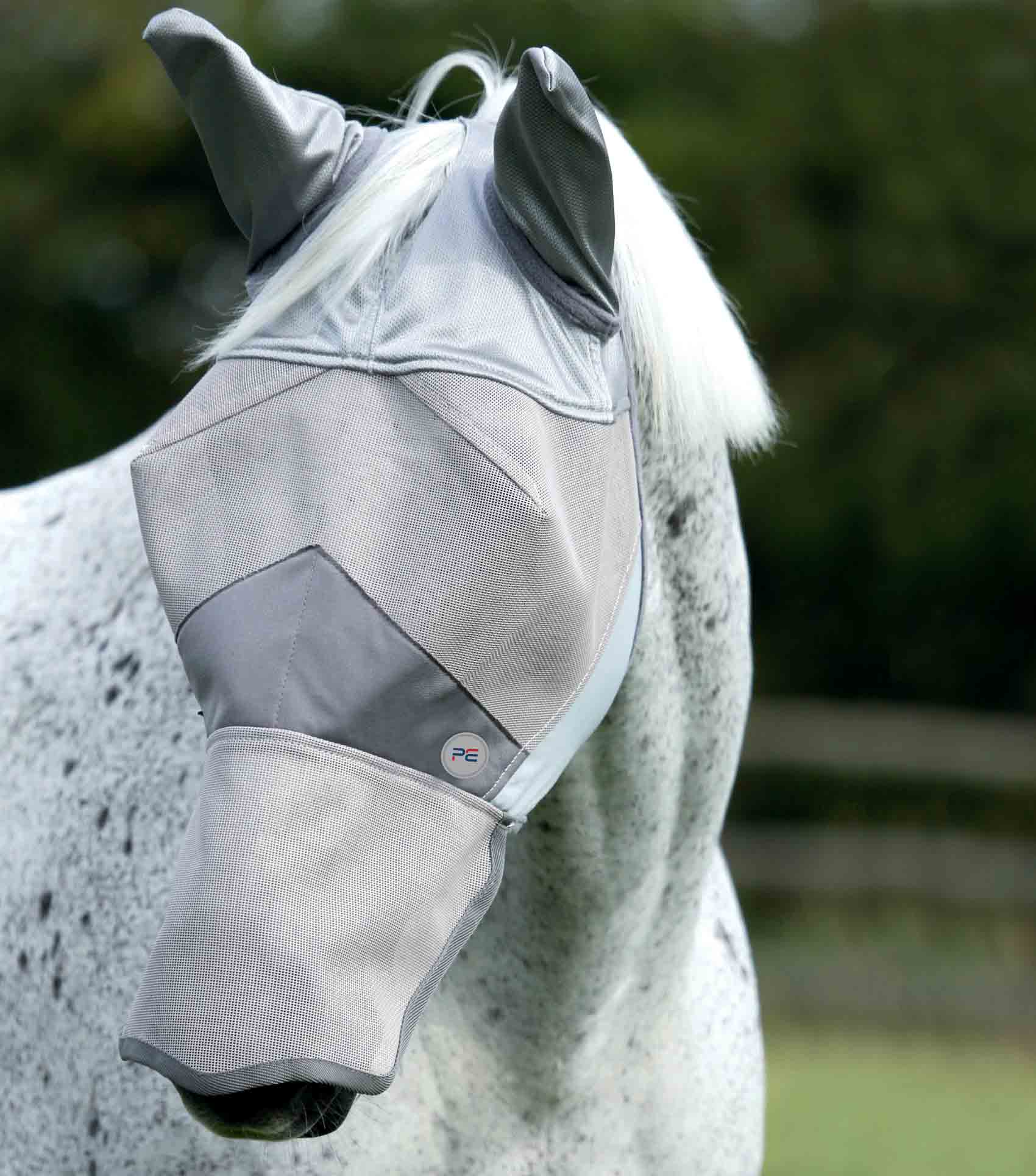 Fly-Masks Try a Bit