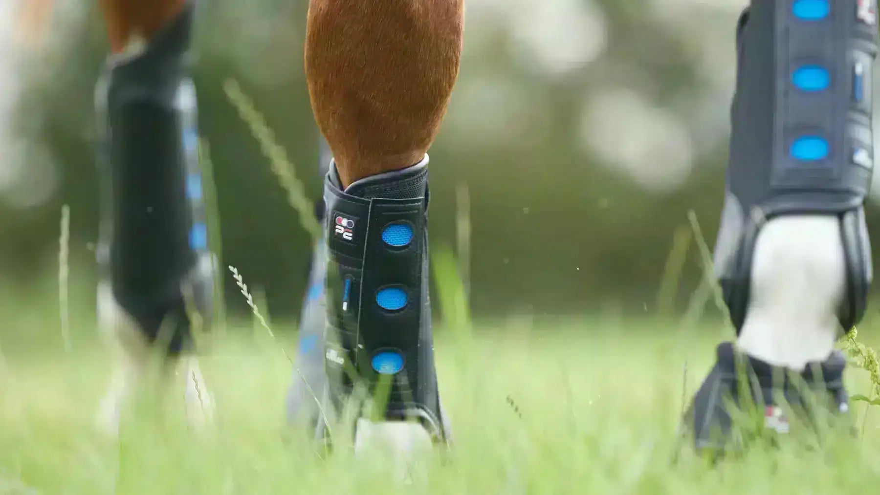 Horse-Boots Try a Bit