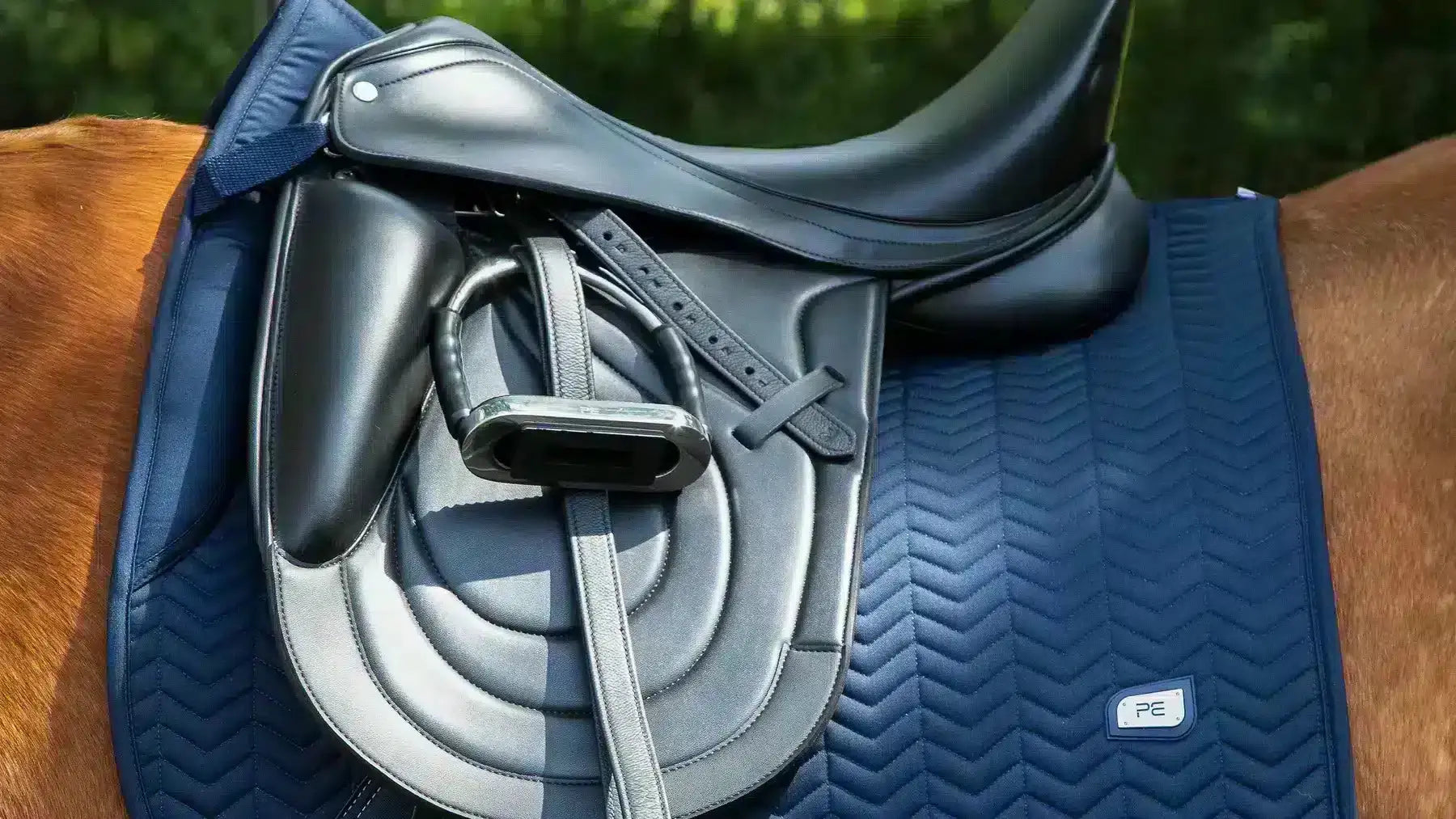 Dressage-Saddle-Pads Try a Bit