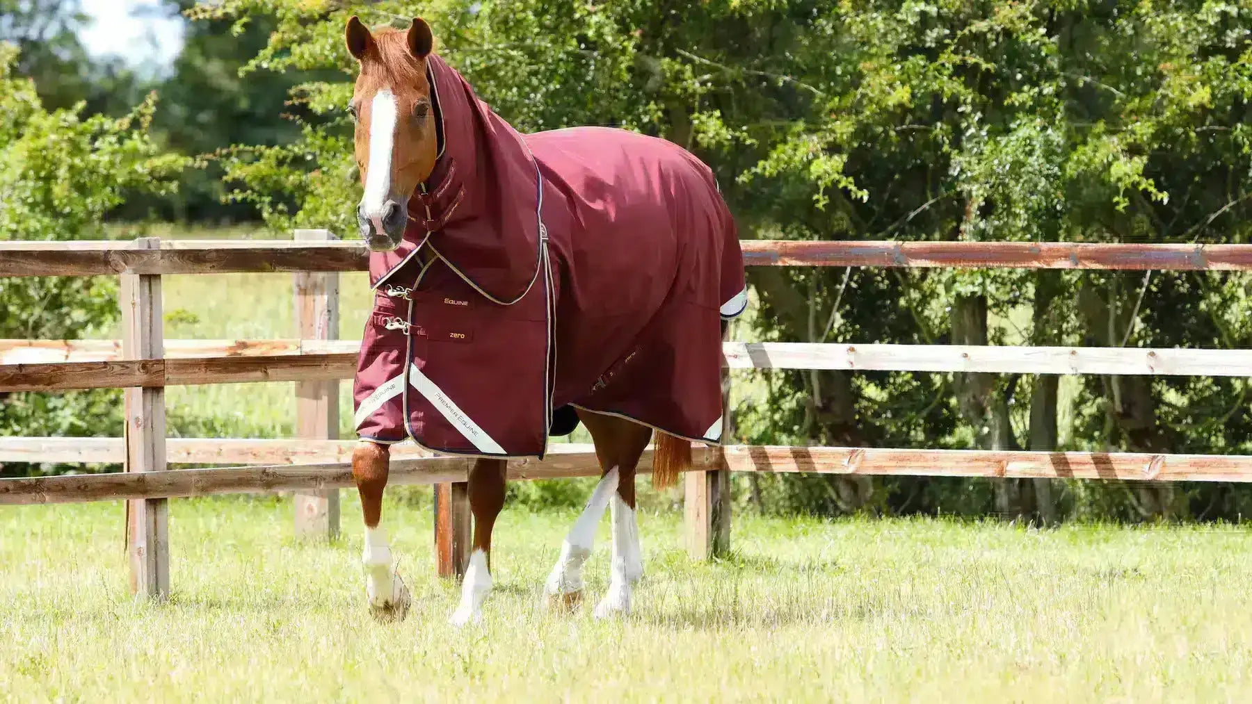 Horse-Rugs Try a Bit