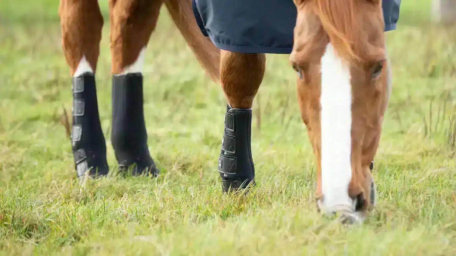 Turnout Boots