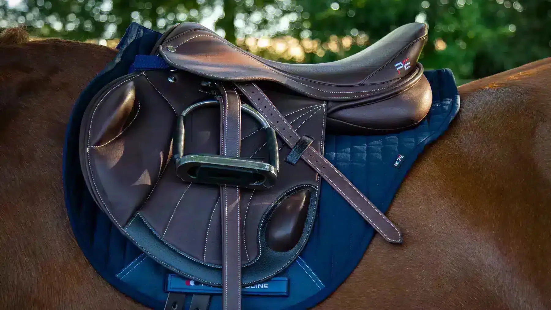 Saddles Try a Bit