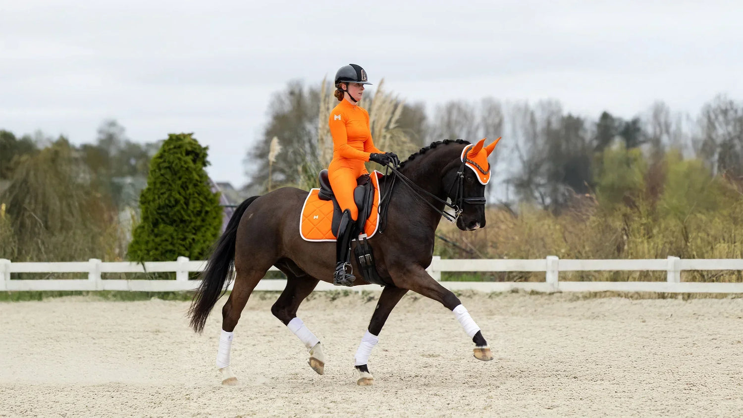 Maximilian Equestrian