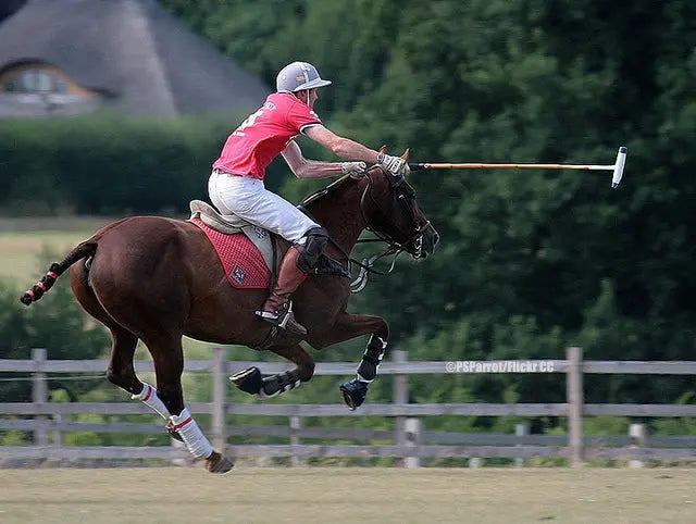 Polo-and-Polocrosse Try a Bit