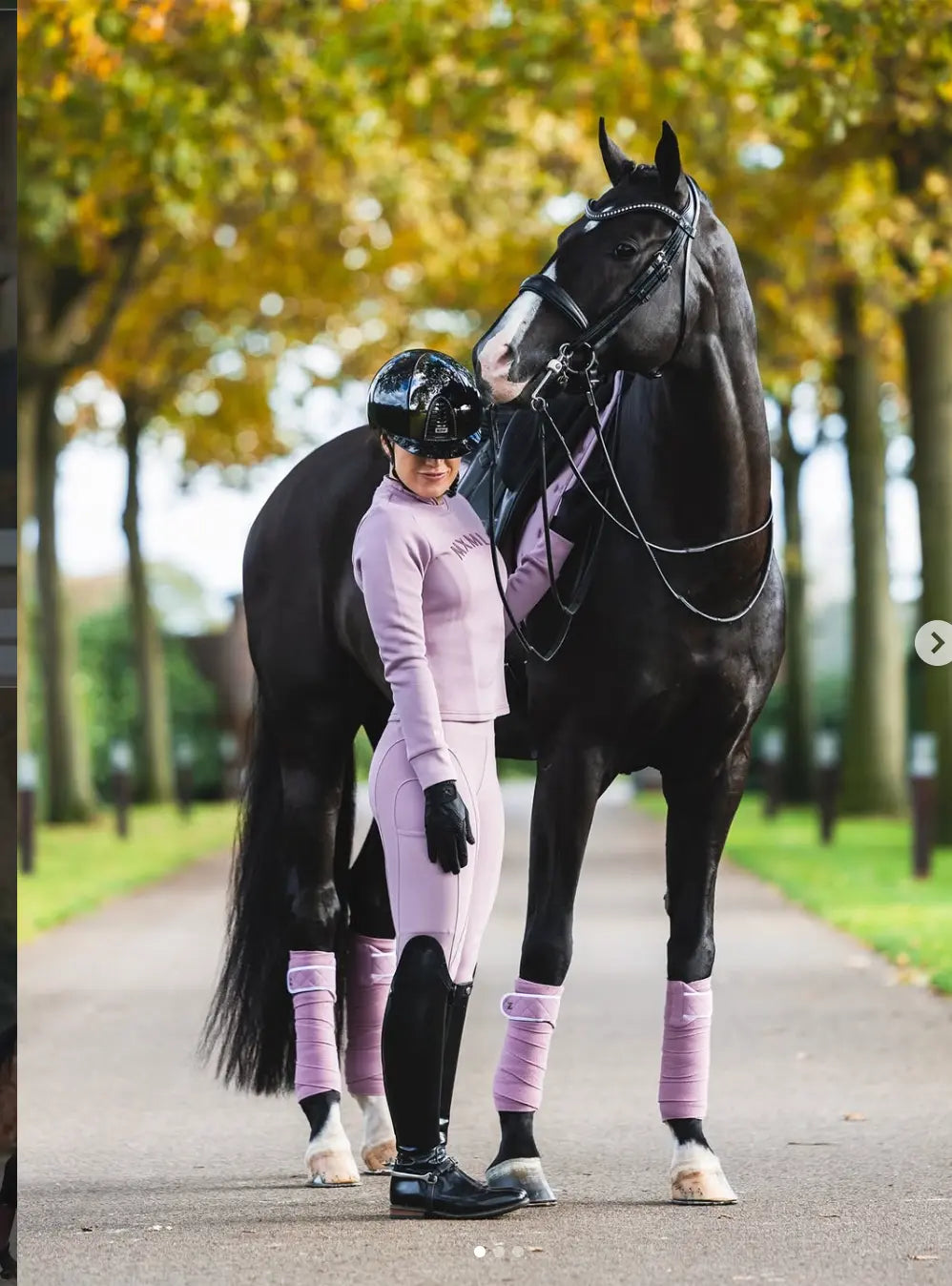 Hoodies and Sweatshirts