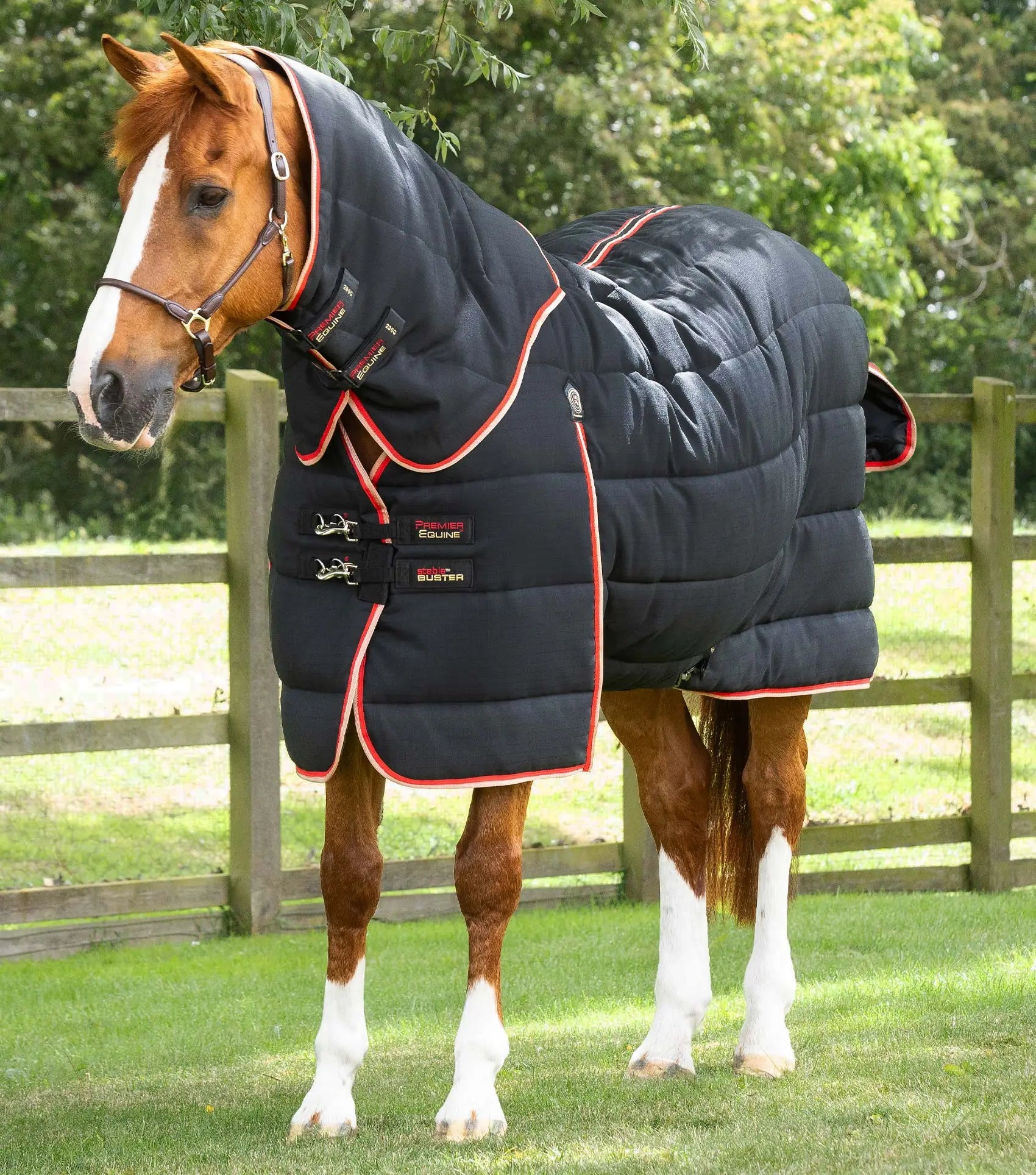 Medium-Weight-Stable-Rugs Try a Bit