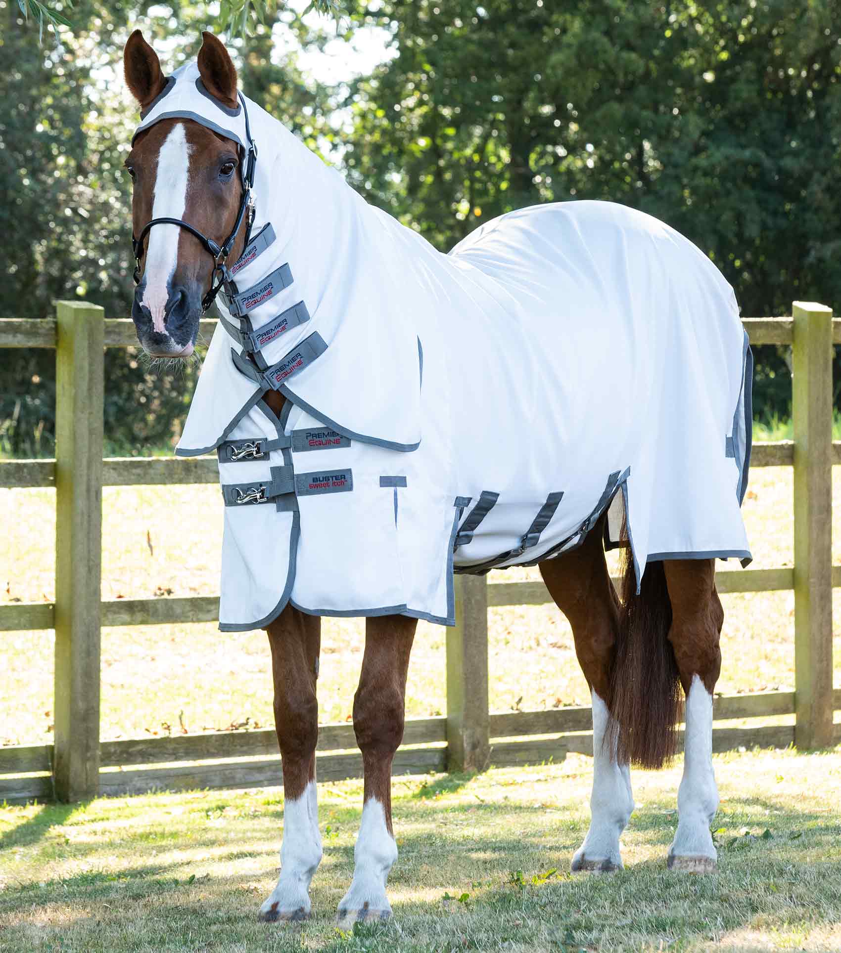 Sweet-Itch-Rugs Try a Bit