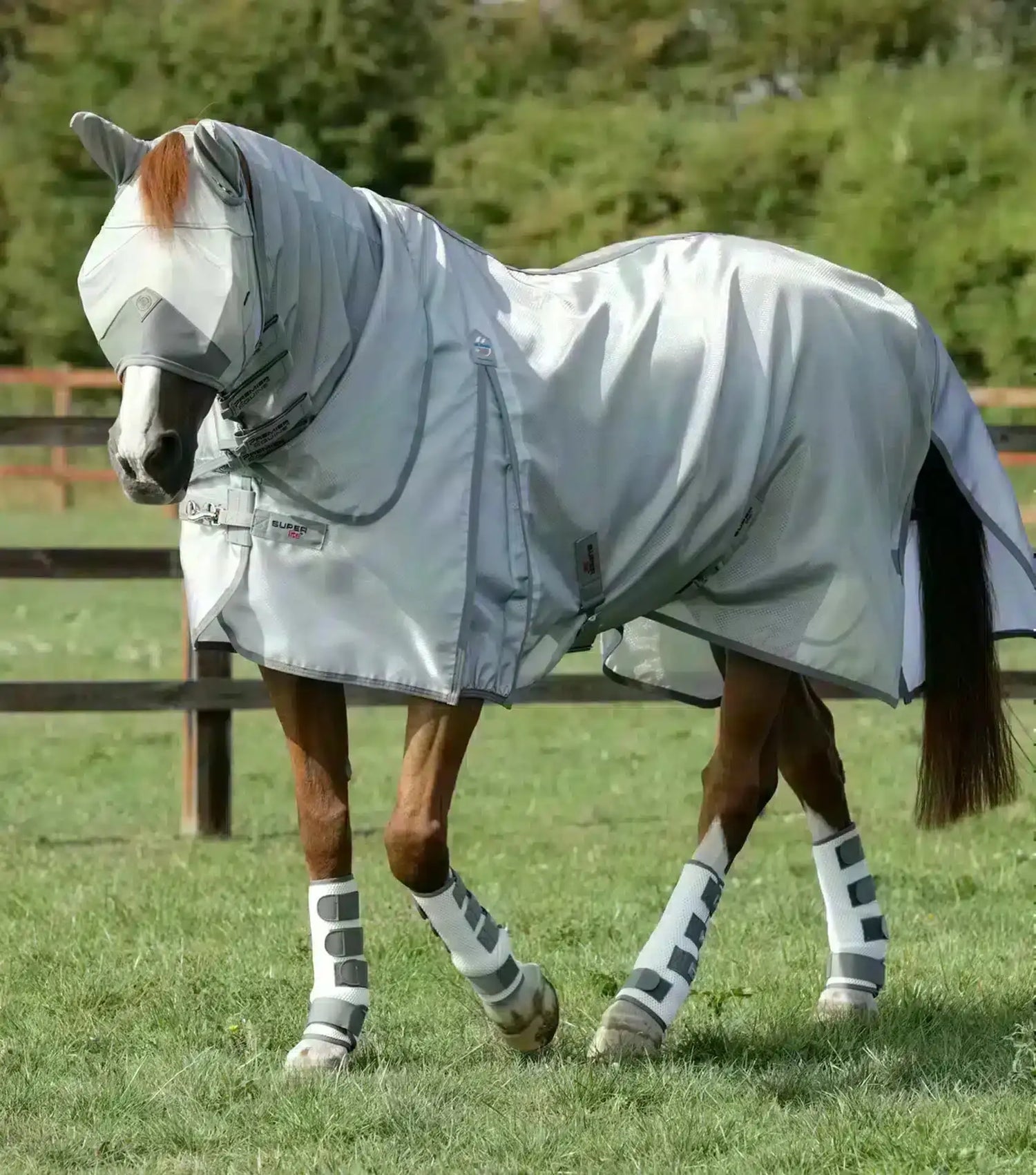 Fly Rugs