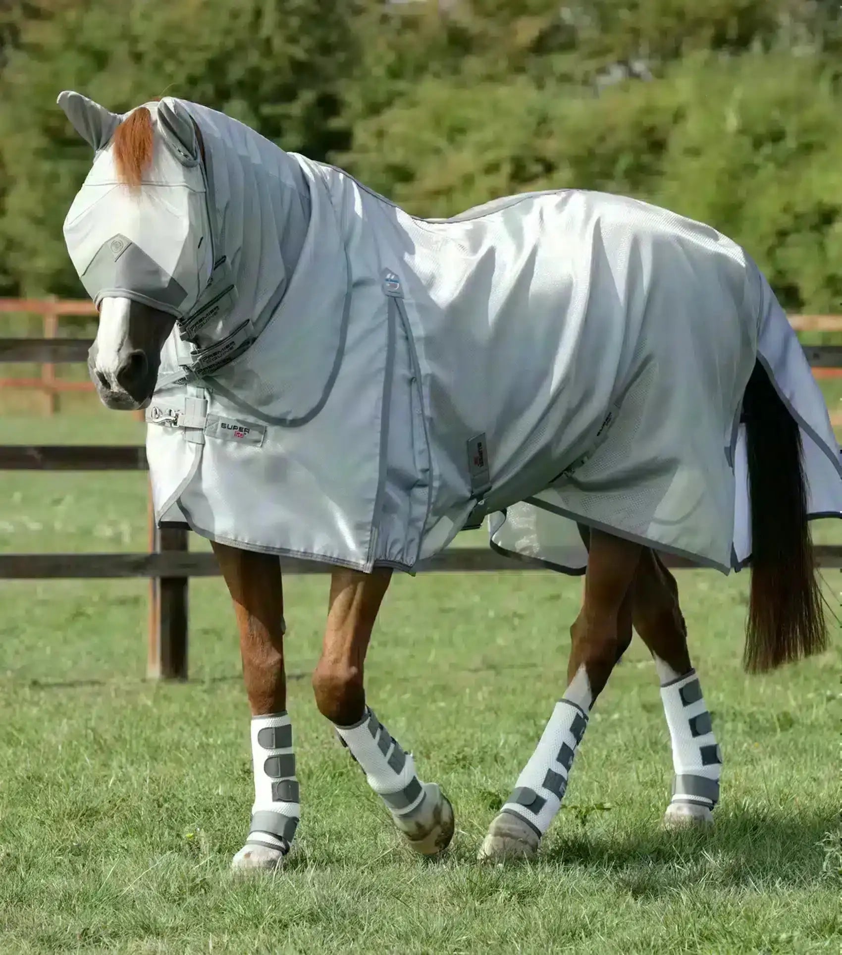 Fly-Rugs Try a Bit