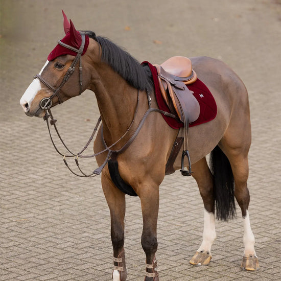 Velvet Jumping Saddle Pad (Ruby) by Maximilian Equestrian at  Try A Bit