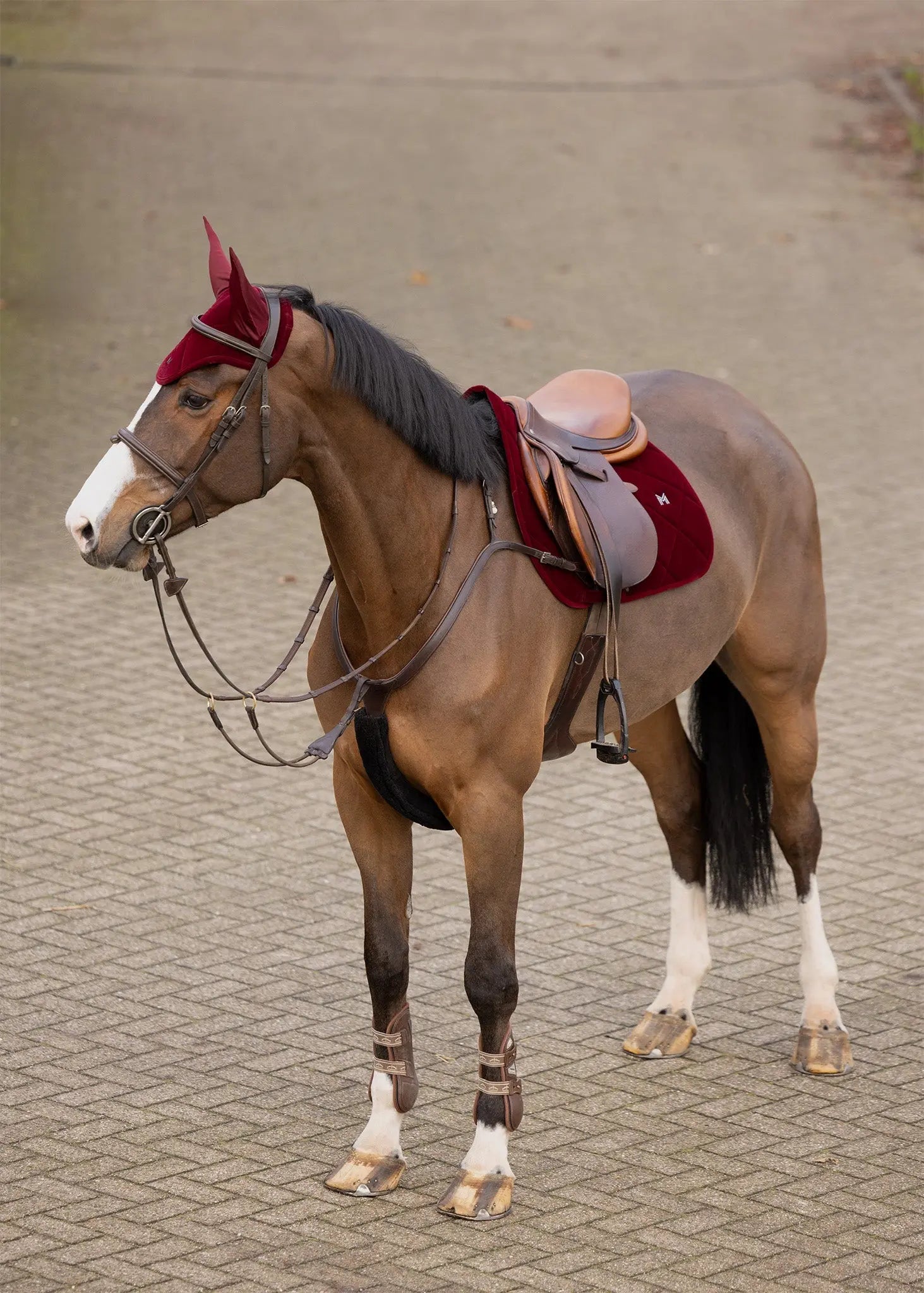 Velvet Jumping Saddle Pad (Ruby) by Maximilian Equestrian at  Try A Bit