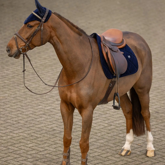 Velvet Jumping Saddle Pad (Sapphire) by Maximilian Equestrian at  Try A Bit