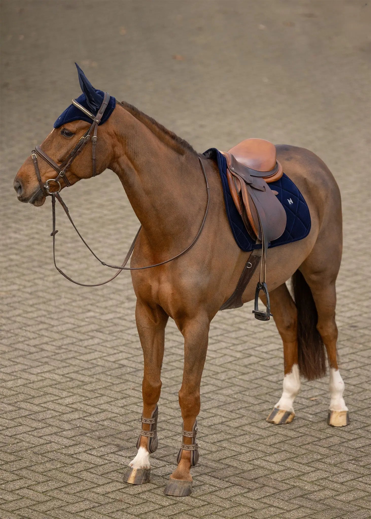 Velvet Jumping Saddle Pad (Sapphire) by Maximilian Equestrian at  Try A Bit
