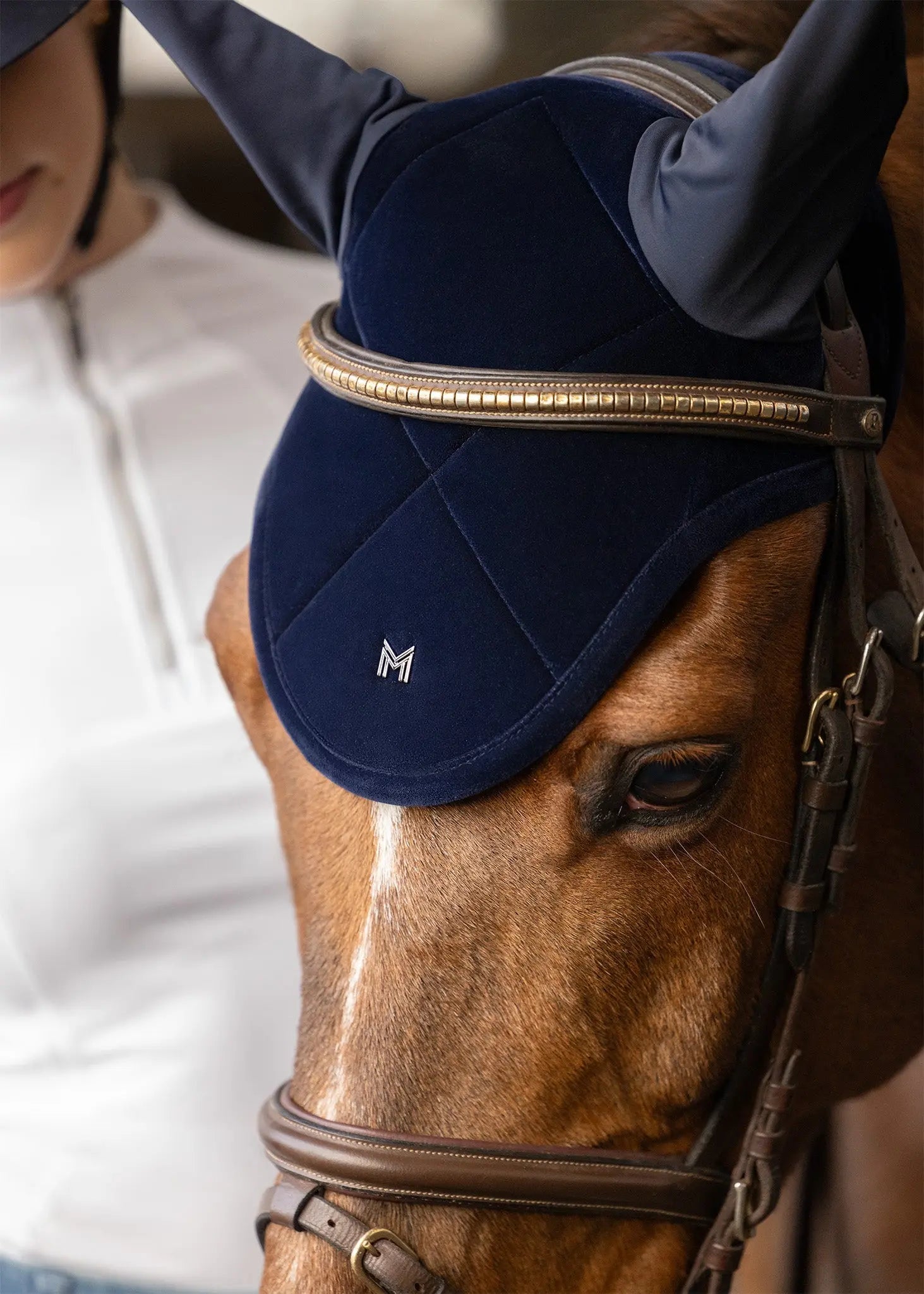 Velvet Jumping Saddle Pad (Sapphire) by Maximilian Equestrian at  Try A Bit