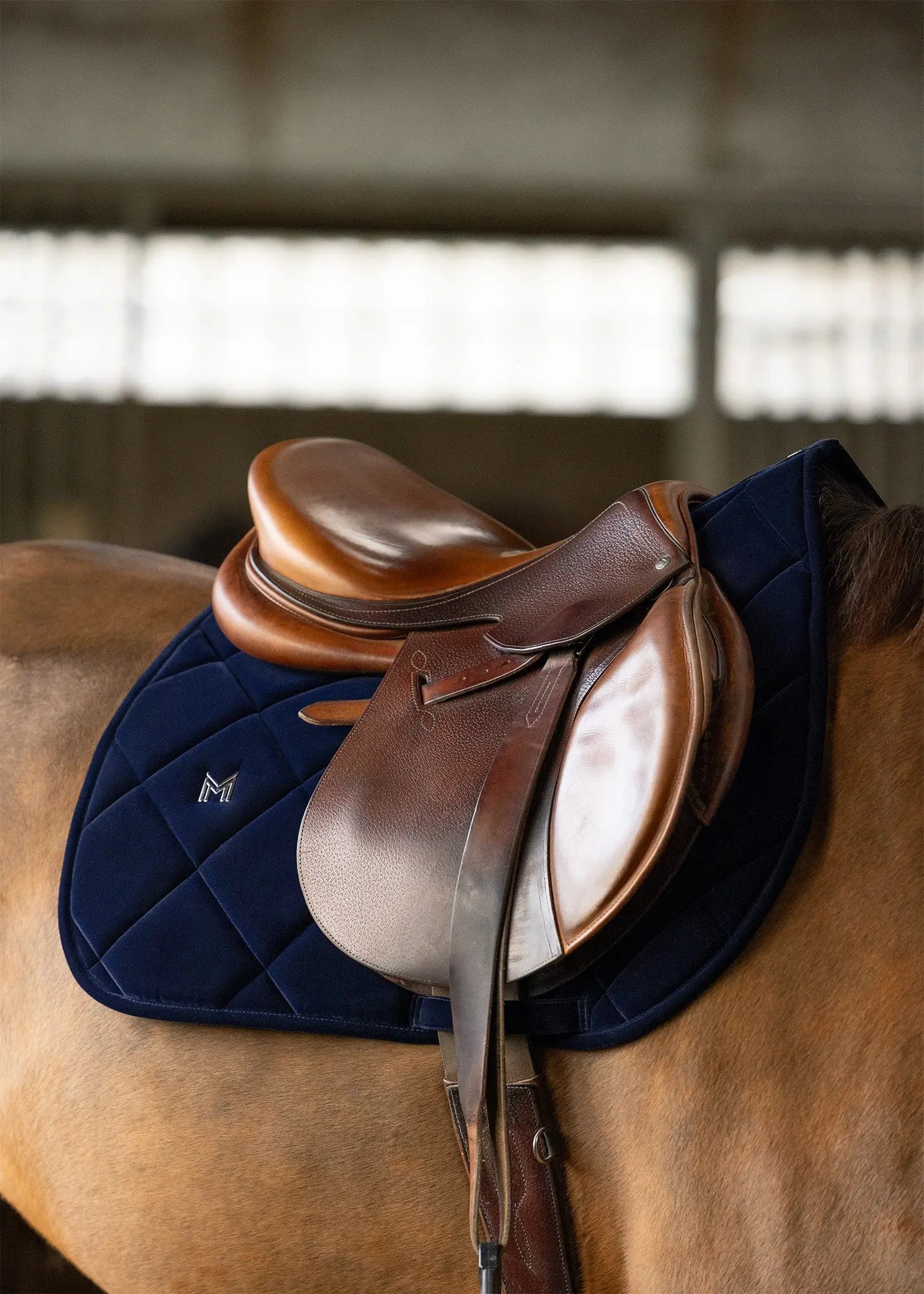 Velvet Jumping Saddle Pad (Sapphire) by Maximilian Equestrian at  Try A Bit