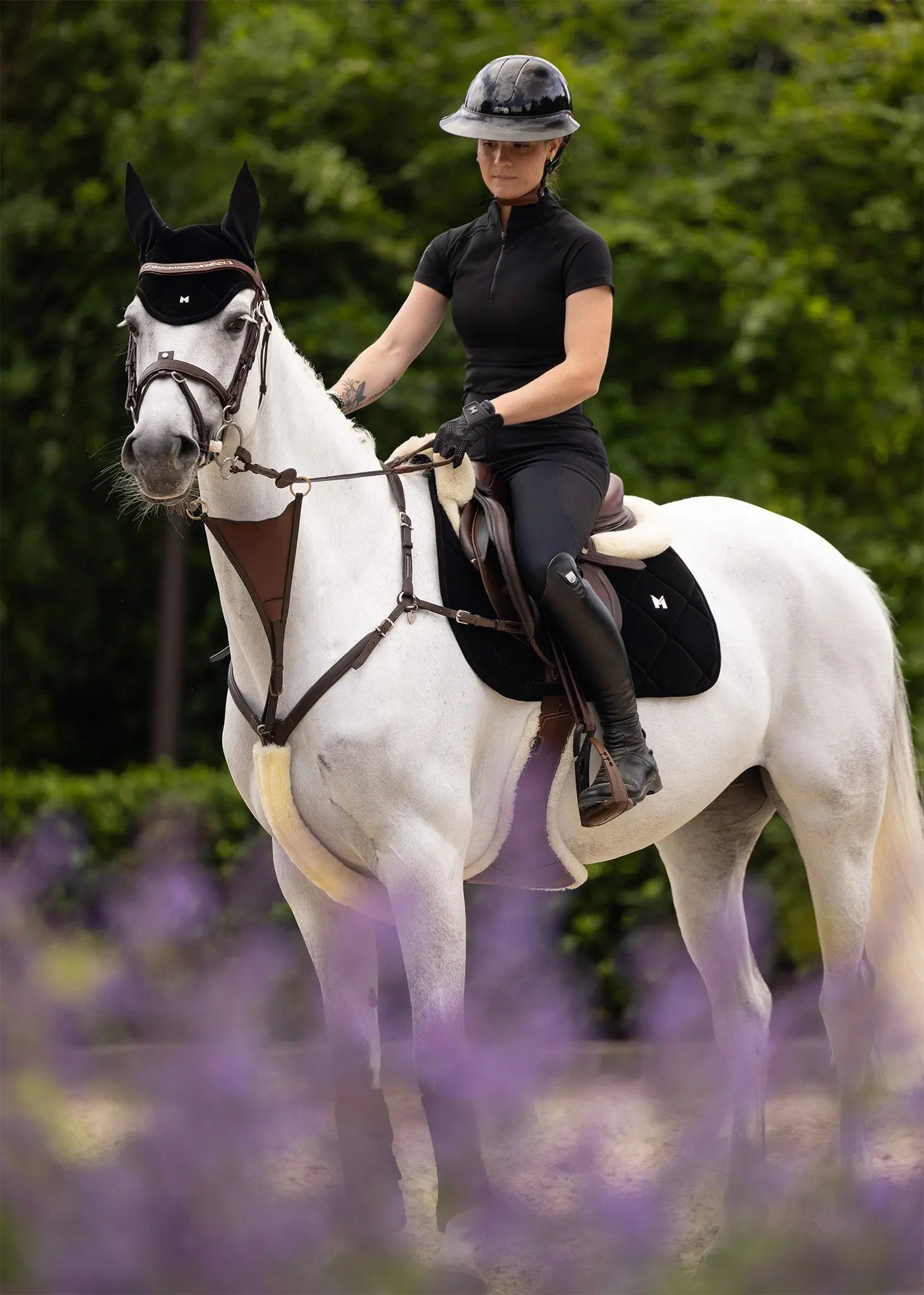 Velvet Jumping Saddle Pad (Black) by Maximilian Equestrian at  Try A Bit