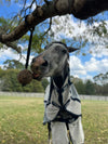 StayBall by Health Horse at  Try A Bit