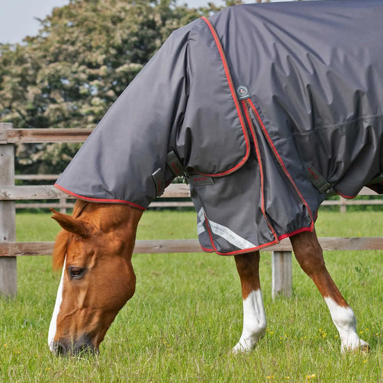Premier Equine Buster 150g Turnout Rug with Classic Neck Cover by Premier Equine at  Try a Bit