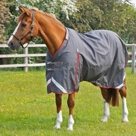 Premier Equine Buster 150g Turnout Rug with Classic Neck Cover by Premier Equine at  Try a Bit