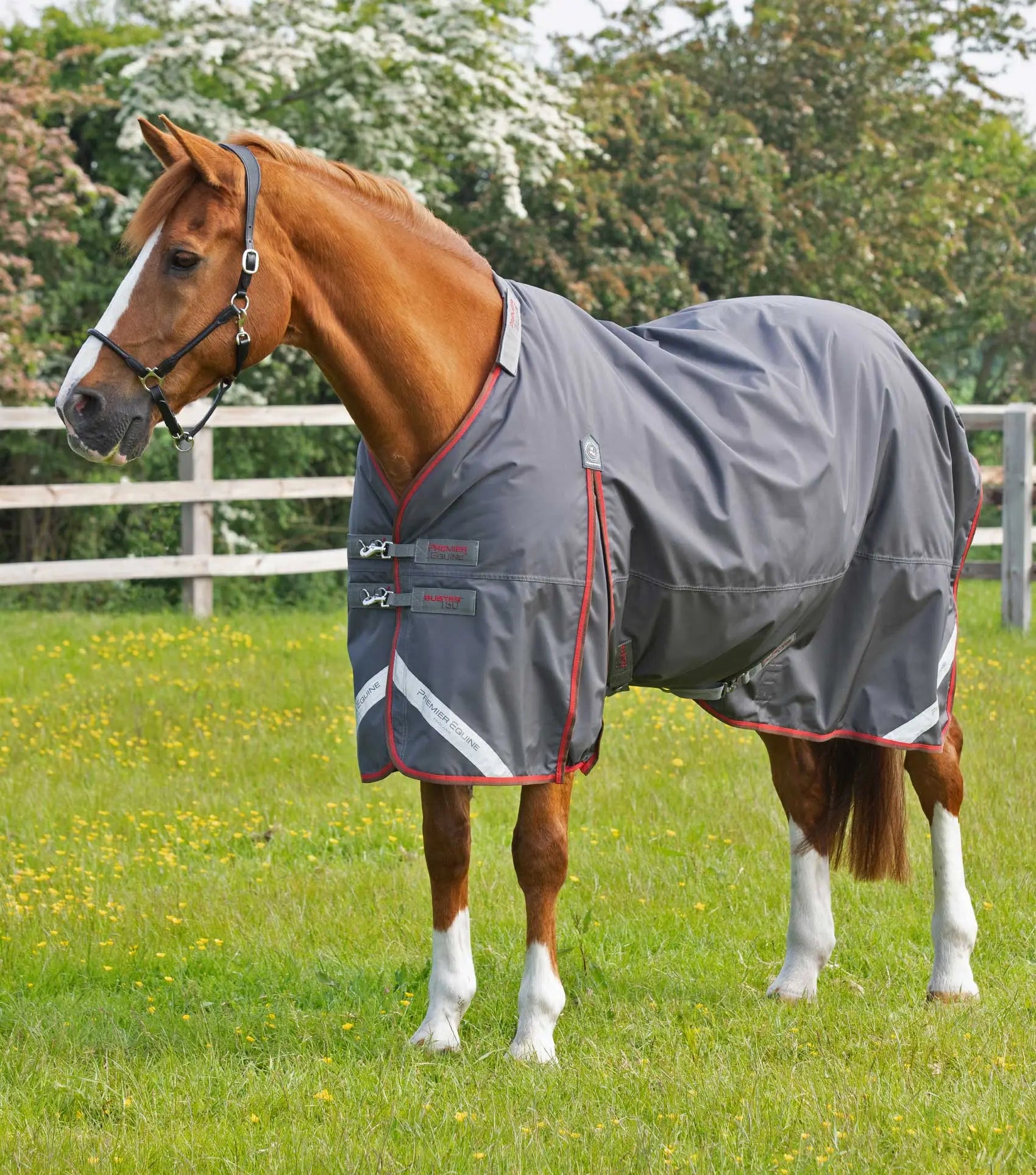 Premier Equine Buster 150g Turnout Rug with Classic Neck Cover by Premier Equine at  Try a Bit