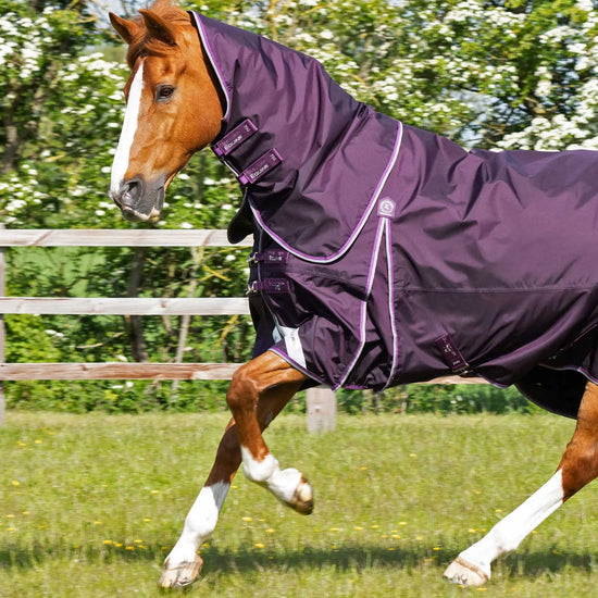 Premier Equine Buster 70g Turnout Rug with Classic Neck Cover by Premier Equine at  Try a Bit