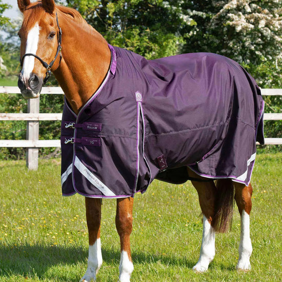 Premier Equine Buster 70g Turnout Rug with Classic Neck Cover by Premier Equine at  Try a Bit