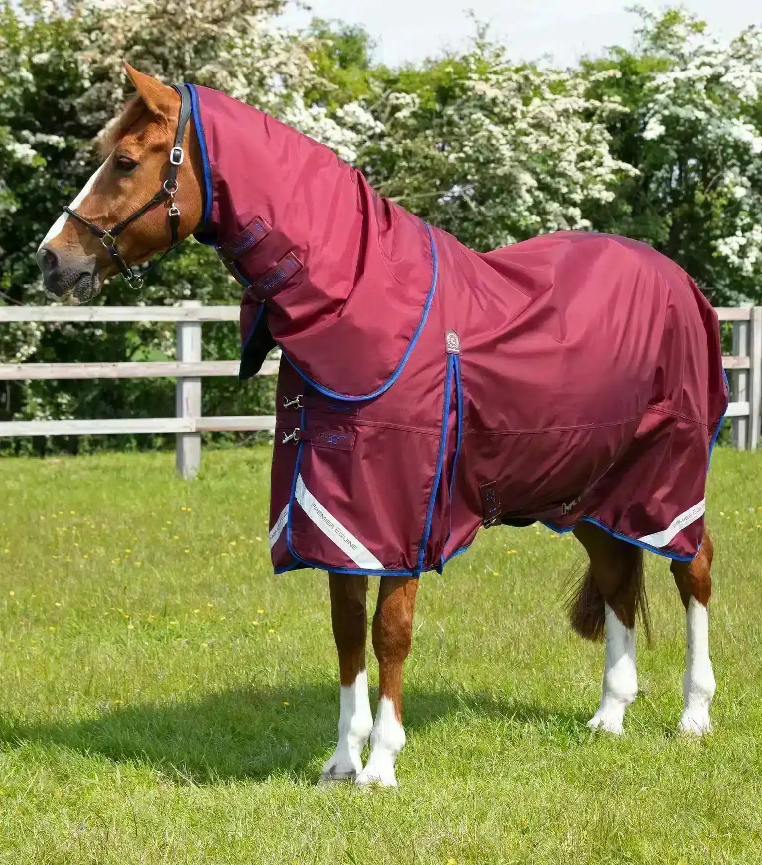 Premier Equine Buster 40g Turnout Rug with Classic Neck Cover by Premier Equine at  Try a Bit