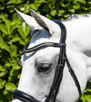 Premier Equine Abriano Anatomic Double Bridle by Premier Equine at  Try a Bit